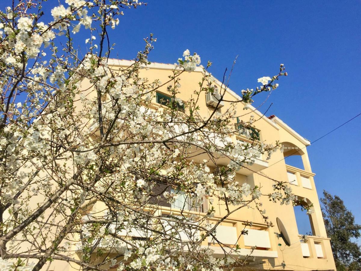 Apartmani Bosiljka Hoek van Holland Ngoại thất bức ảnh